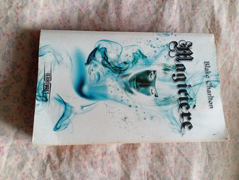Livre Magiciere