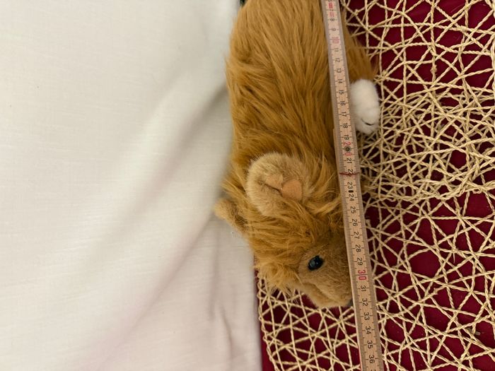 peluche vintage 1986 Humane Society Red - photo numéro 2