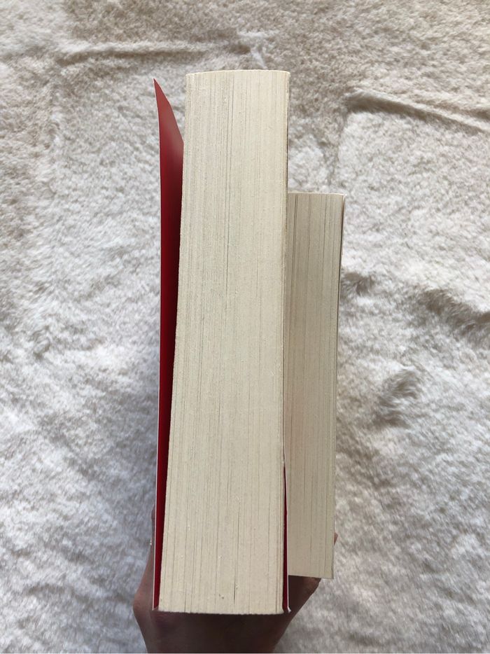 Lot 2 romans hiver / noël - photo numéro 6