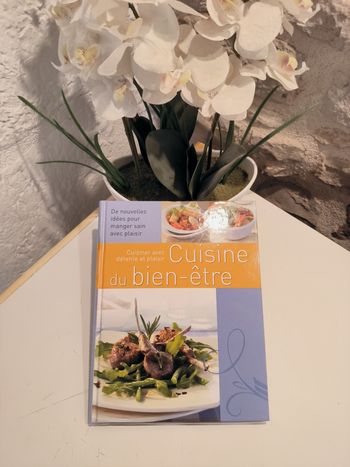 livre Cuisine du bien-être - Sabine A. Werner en tres bon etat