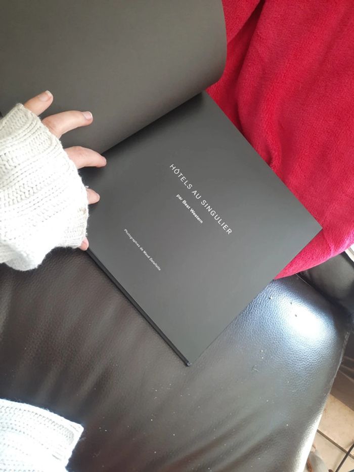 Livre hôtel au singulier p o - photo numéro 8