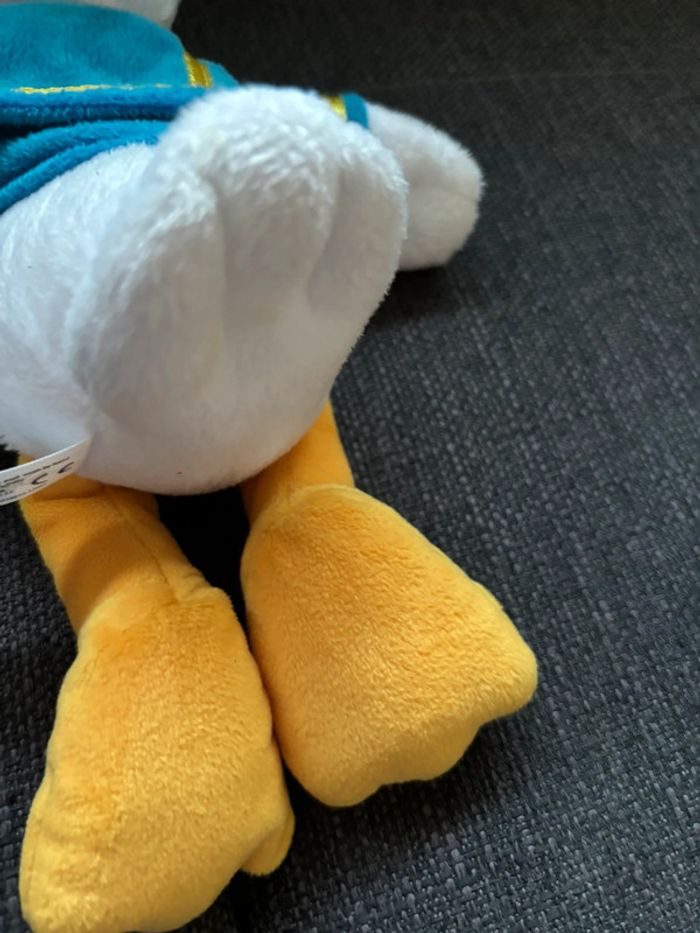 Donald - photo numéro 10