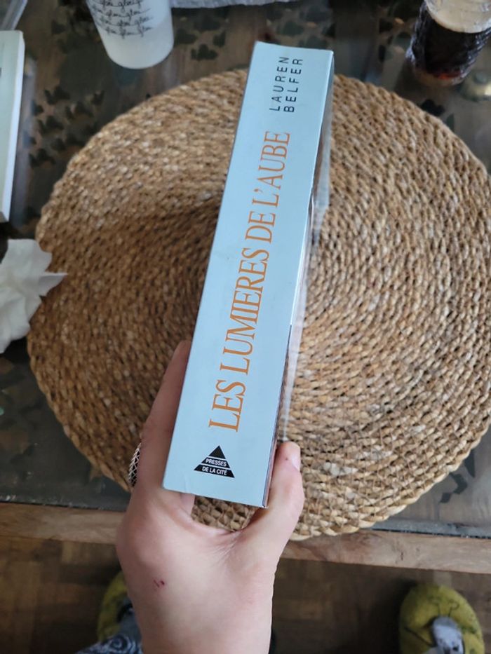 Les lumieres de l' Aube. Laureen Belfer - photo numéro 4