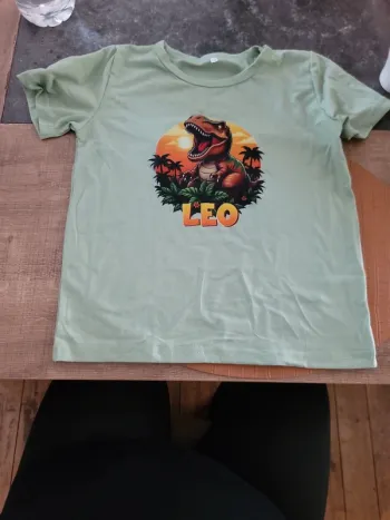 Tee shirt Dinausore
