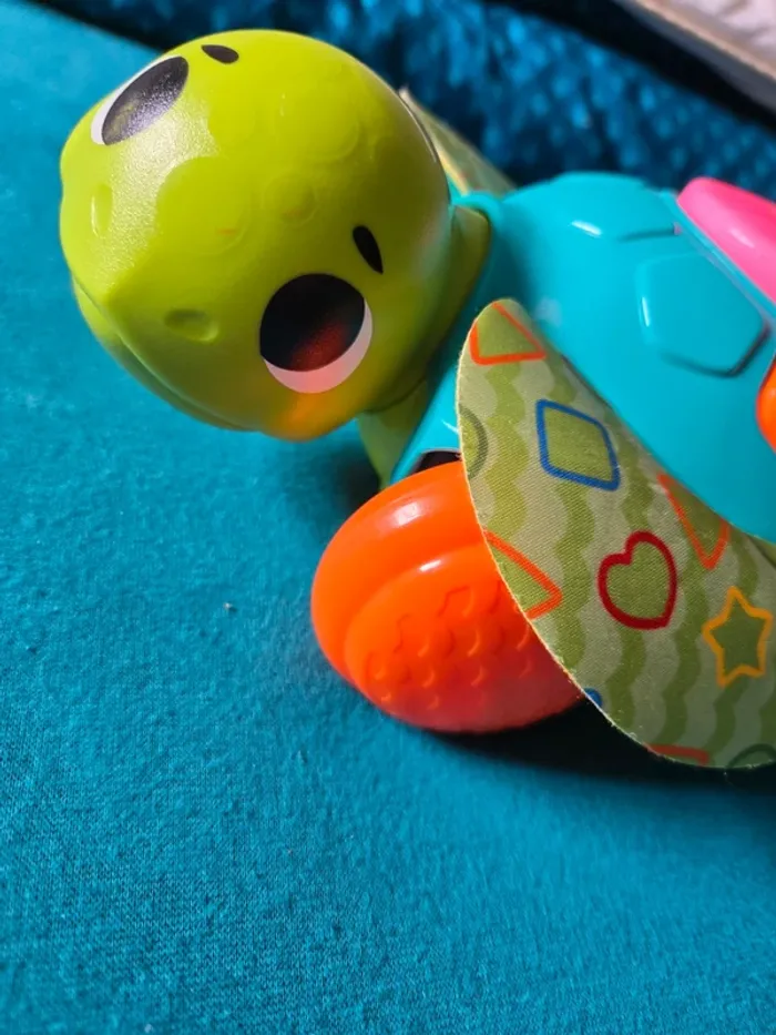 Tortue Linkimals - photo numéro 2