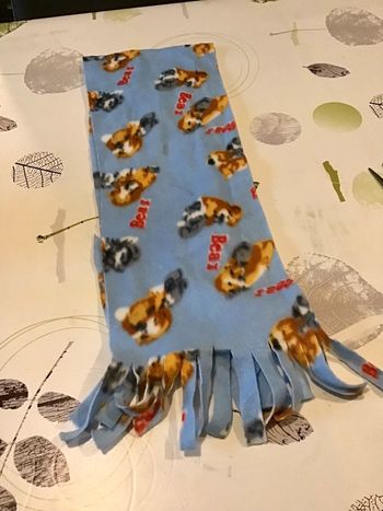 Petite écharpe polaire enfant bleu ciel motif chien chat 120cm