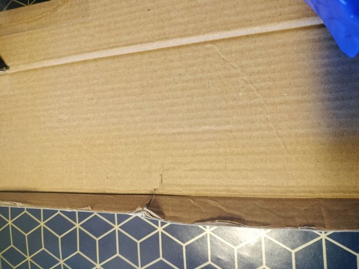 Jeu de dinosaures - photo numéro 3