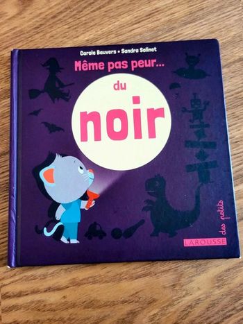 Même pas peur du noir – Livre enfant Larousse – Peur du noir, monstres & lumière – Très bon état