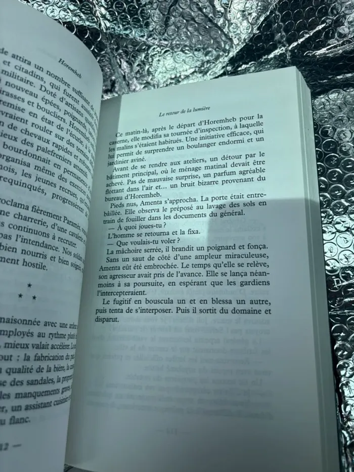 Horemheb - Le retour de la lumière neuf - photo numéro 2