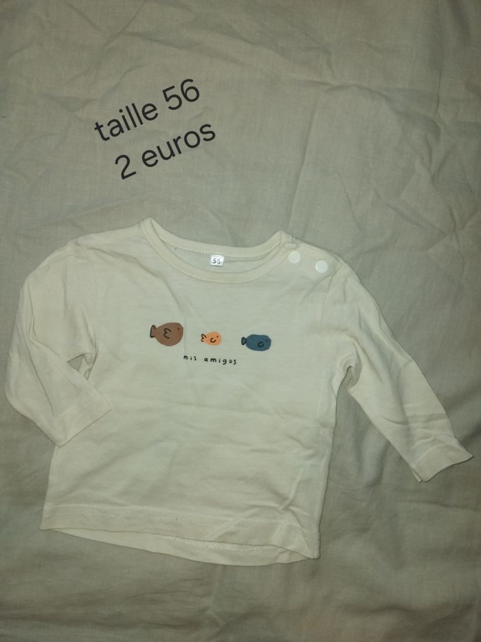 Taille 56