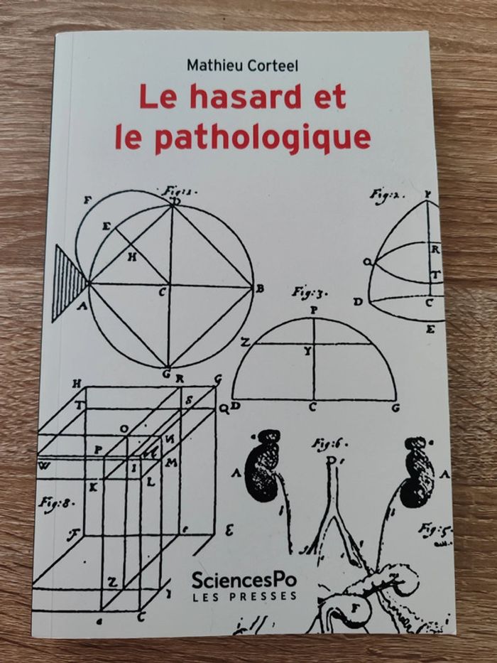 Mathieu Corteel 🌸 Le hasard et le pathologique - photo numéro 1