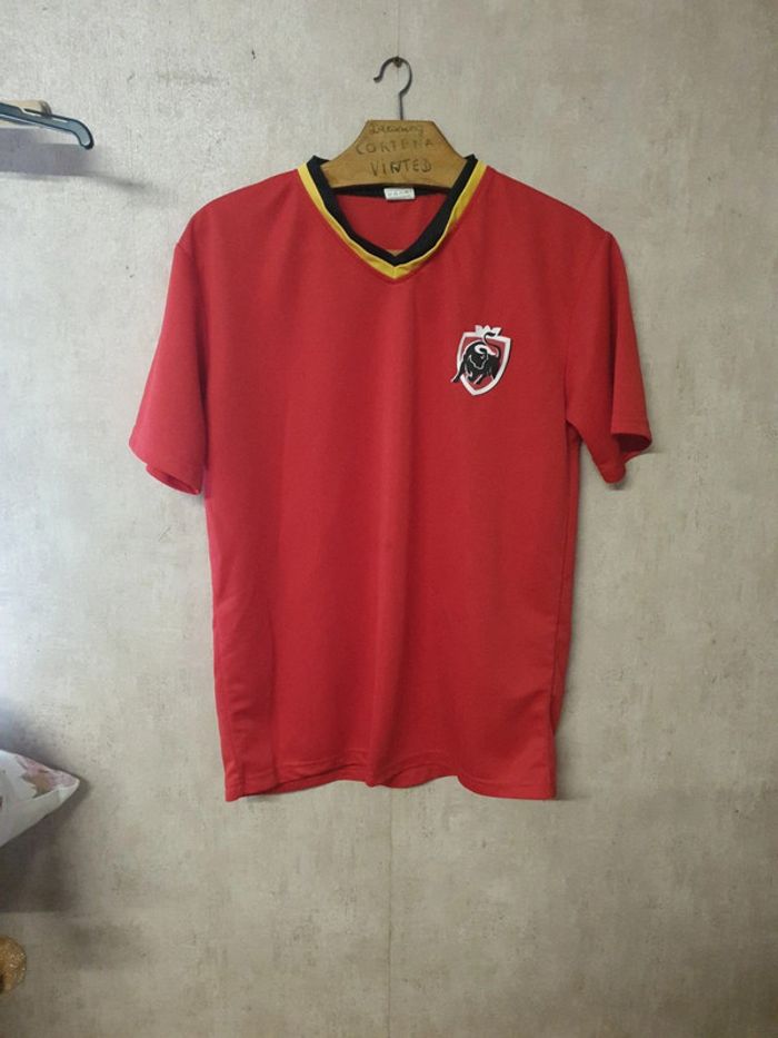 Haut tee shirt supporter belge