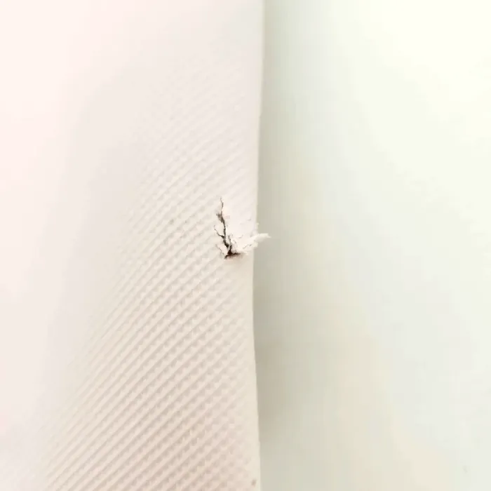 Sac Cabas Lacoste Rose Pâle - photo numéro 7