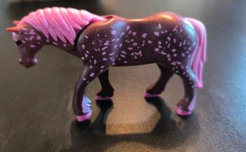 Playmobil cheval fée 5449