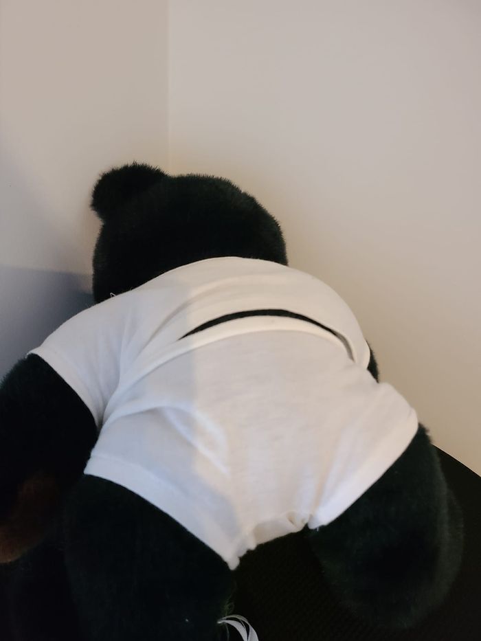 peluche ours - photo numéro 4