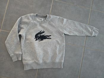 Sweat gris Lacoste