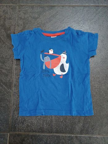 Tee shirt Pélican