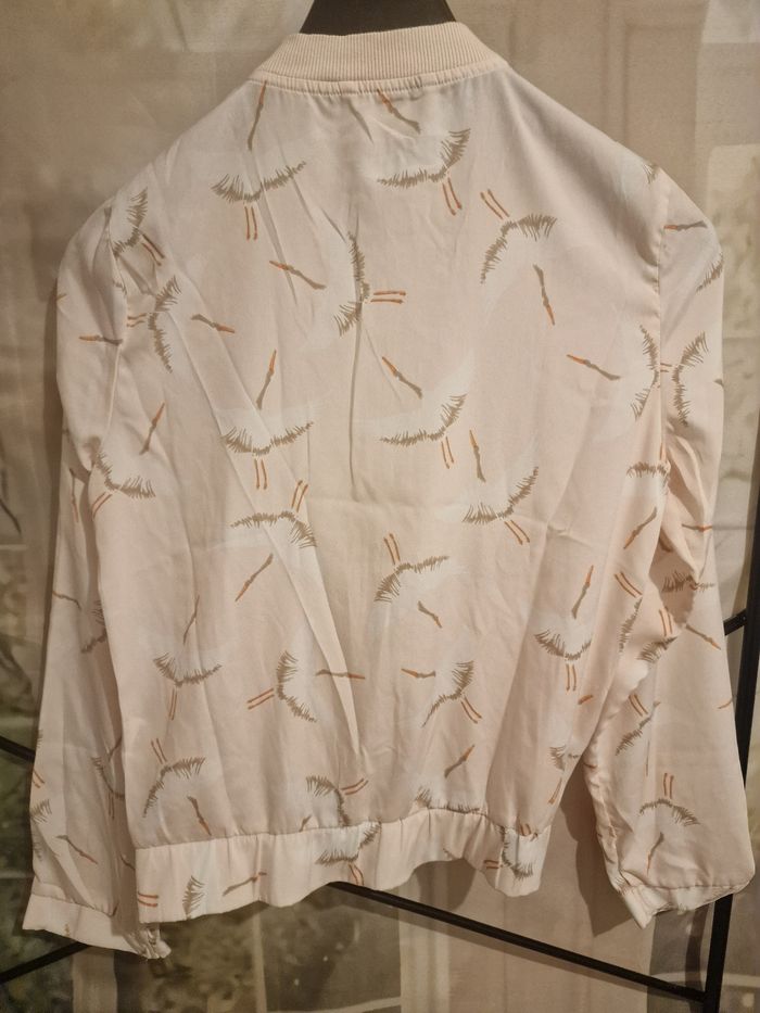 Veste 36 - photo numéro 4