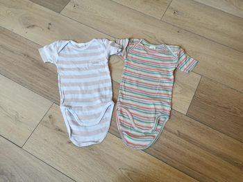 Lot 2 bodies absorba