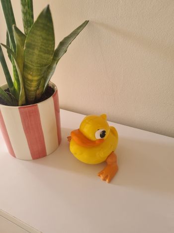 Canard