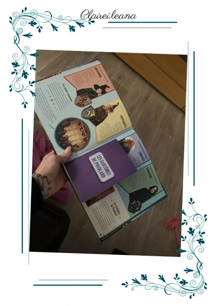 🛑livre Harry potter 🛑 le carnet magique - photo numéro 3