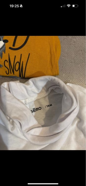 Lot vêtements manches longues 18 mois