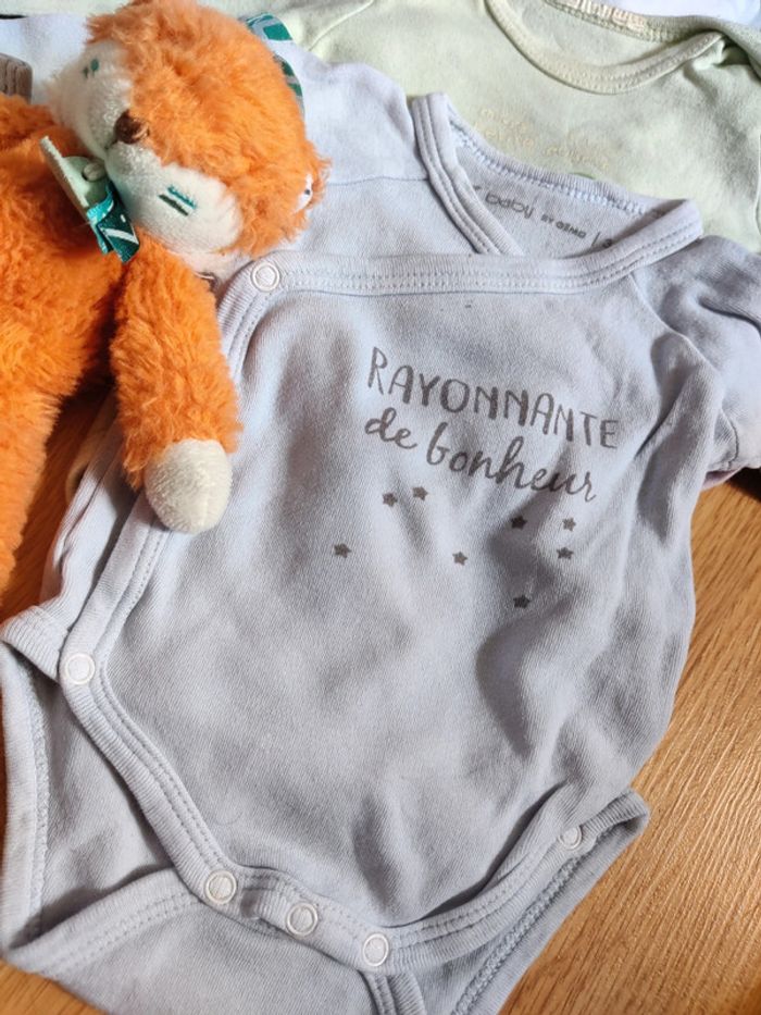 Lot de 3 bodies 3 mois - photo numéro 2