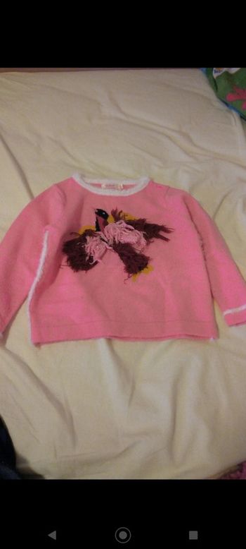 Pull oiseau rose billieblush