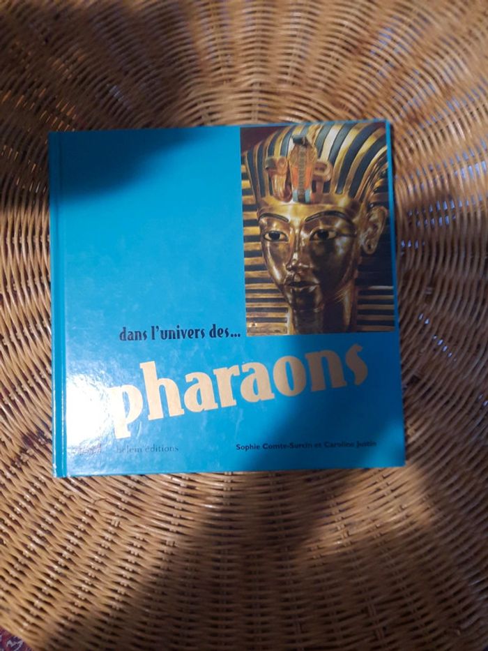 Dans l'univers des Pharaons