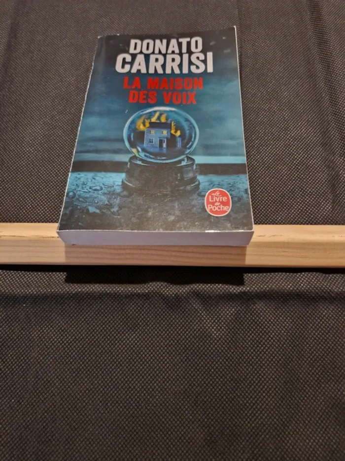 La Maison des voix - Donato Carrisi - photo numéro 2