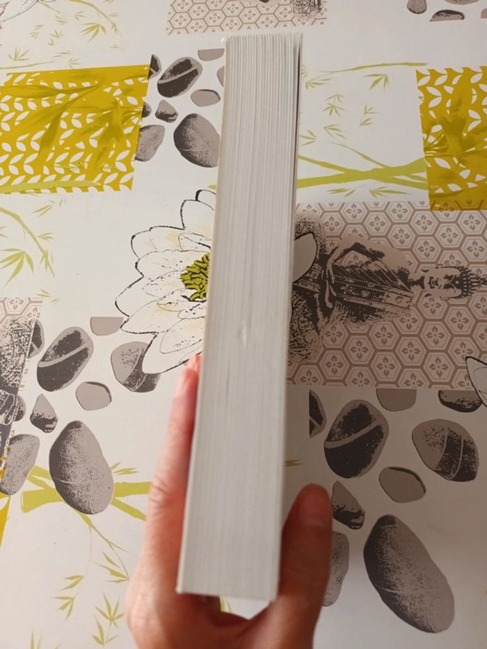 Livre : La baie aux perles de Roxane Dhand - photo numéro 4