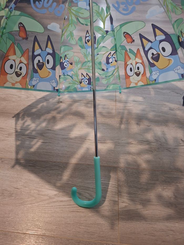 Para bluey - photo numéro 6