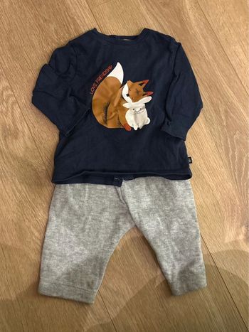 Ensemble renard