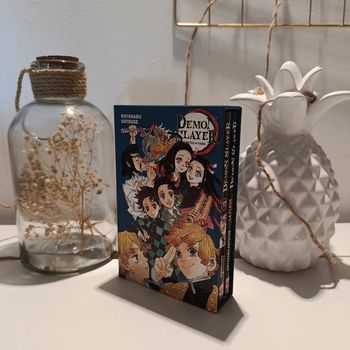 Manga démon slayer coffret collector 17