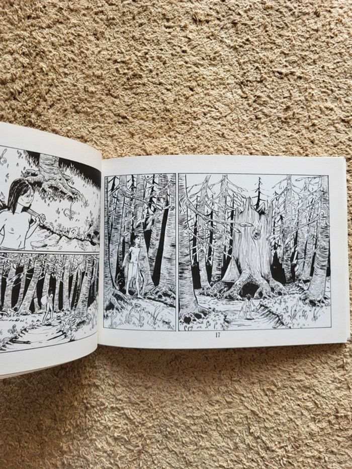 Lot de 2 BD Sathaden Tome 1 Le rite de passage et Tome 2 Le temple du corbeau - photo numéro 6