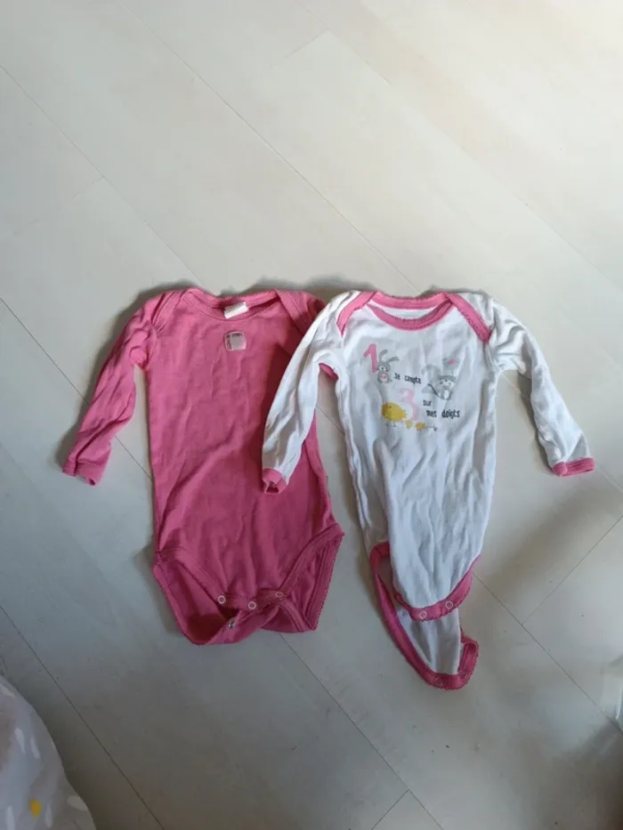 Lot body