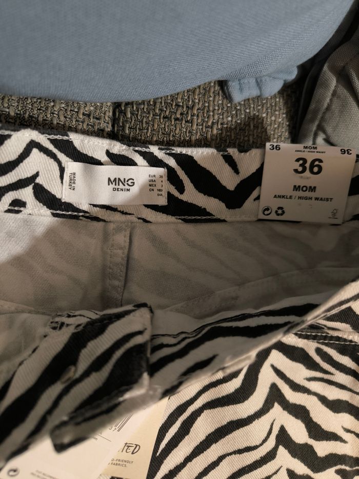 Jean zébré - photo numéro 4