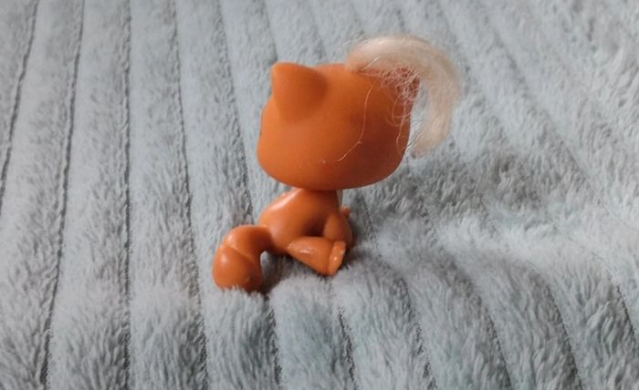 Petshop chat 226 - photo numéro 3