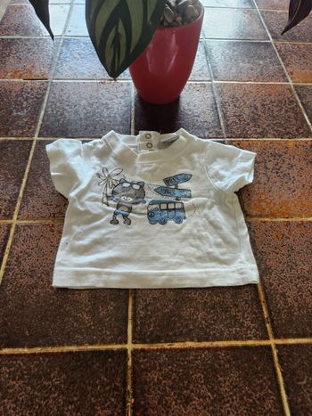 Tee-shirt manches courtes