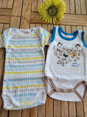Lot de 2 bodies manches courtes garçon en 6 mois