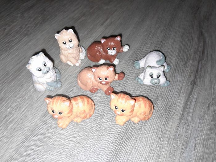 Lot chats weetos