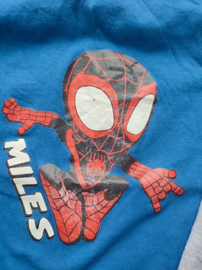 Dabrdeur Spidy et Miles - photo numéro 3
