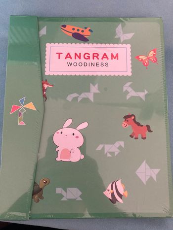 puzzle tangram 3D magnétique