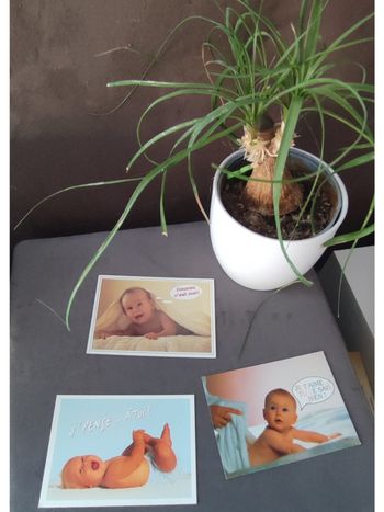 Lot de 3 cartes postales bébés