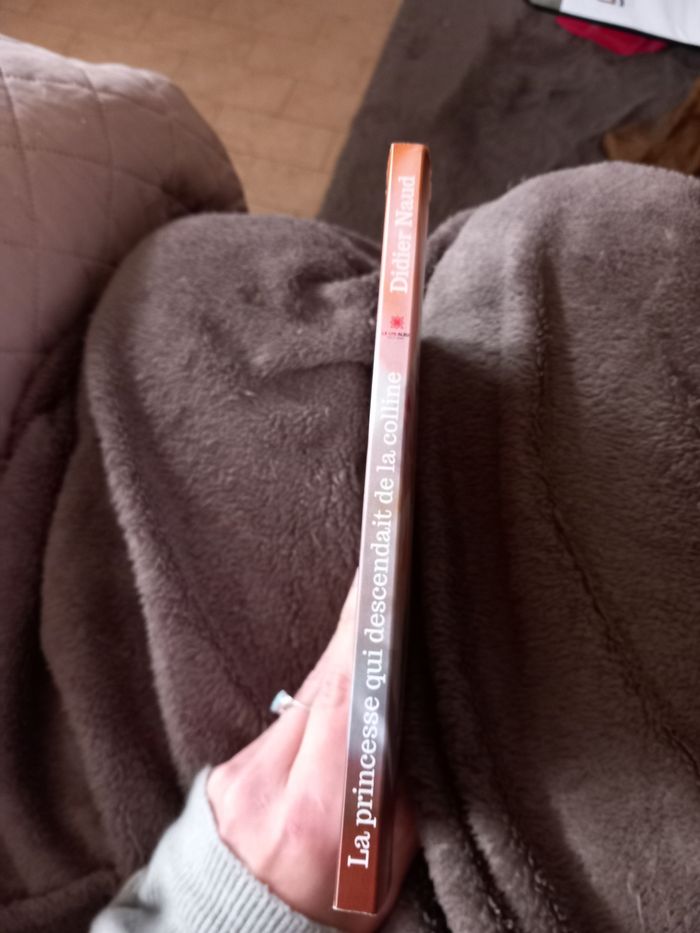 La princesse qui descendait de la colline - Didier Naud - photo numéro 4