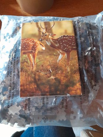 Puzzles