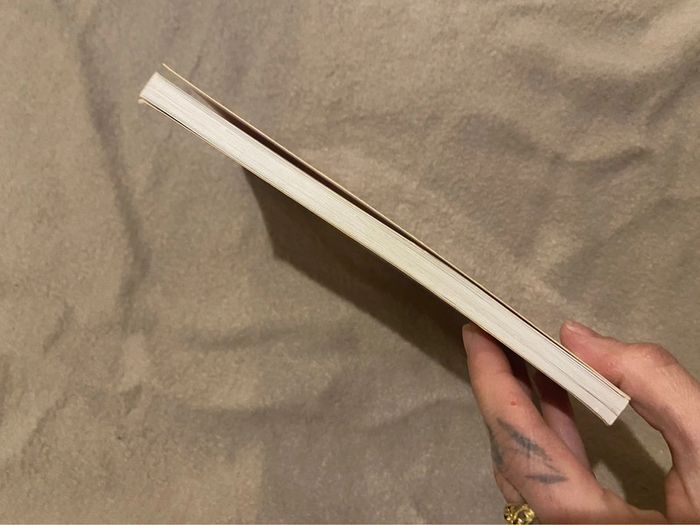 Livre chers voisins - photo numéro 5