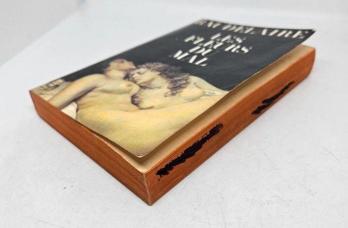 "Les fleurs du mal", de Baudelaire.
404 pages.
Livre de poche.
ISBN : 2.253.00710.2 - photo numéro 3