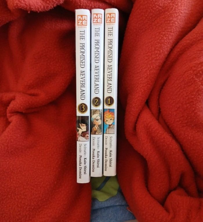 Mangas - photo numéro 7