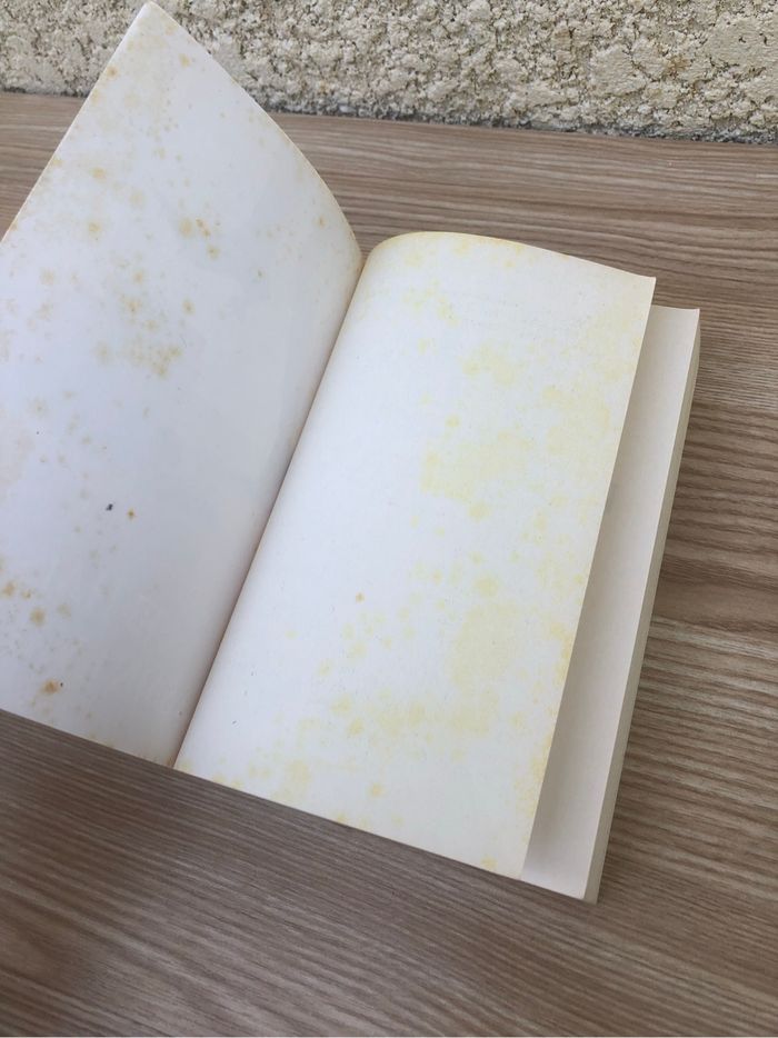 Lots de 2 romans (Allison Rushby et Jane Sigaloff) - photo numéro 6